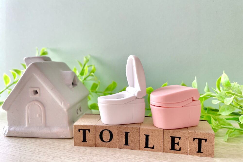 排便習慣の見直し